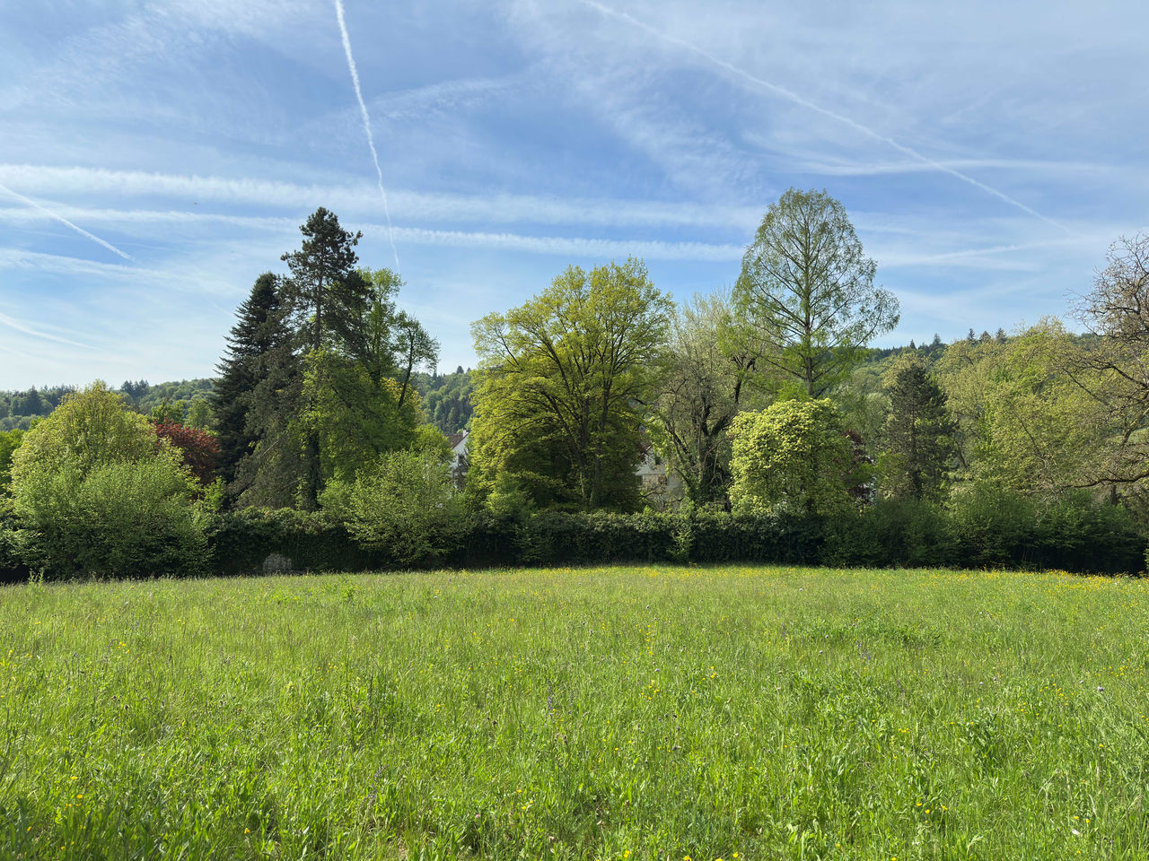 Arboretum